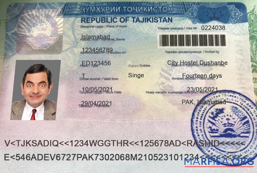Downloadable Tajikistan travel visa real example